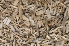 biomass boilers Plaistow